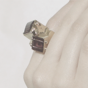 Anillo Uno